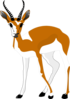 Staring Antelope Clip Art